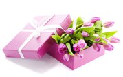 Продажа тюльпанов оптом к 8 марта 80296 53-72-43
