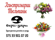 Хризантемы,  тюльпаны,  альстромерии 5 % СКИДКА!