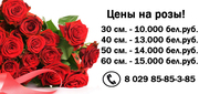 Розы,  цветы,  с доставкой Минск