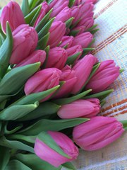Тюльпаны к 8 марта оптом,  20 сортов 8-029-650-81-40